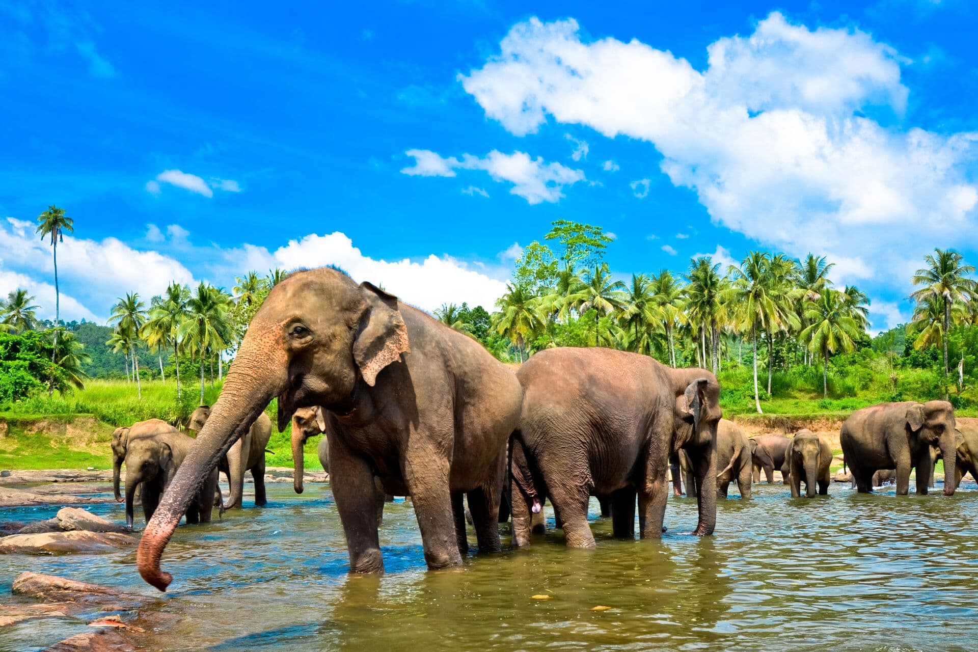 Srí Lanka - ideálna kombinácia