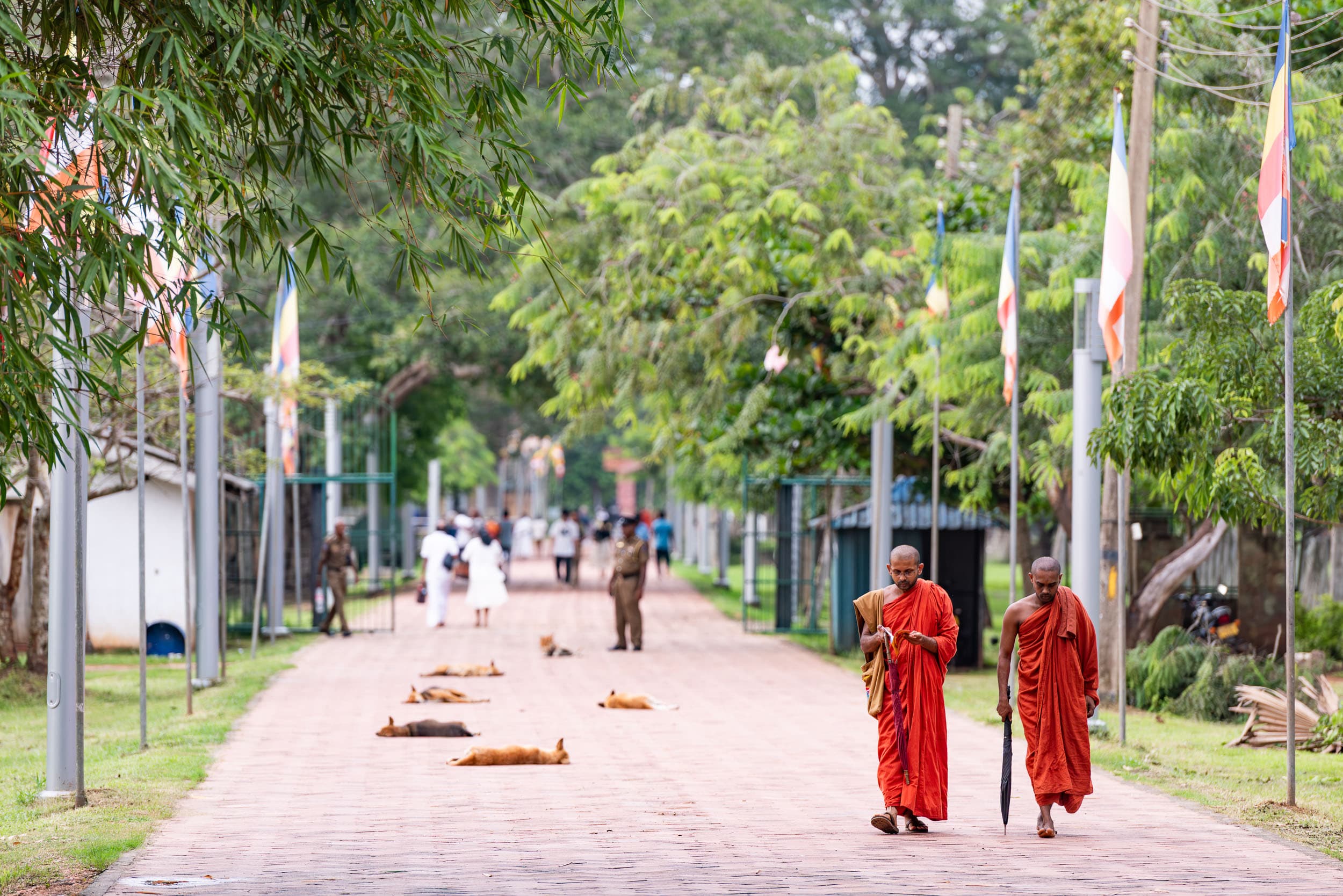 Srí Lanka - ideálna kombinácia – fotka 2