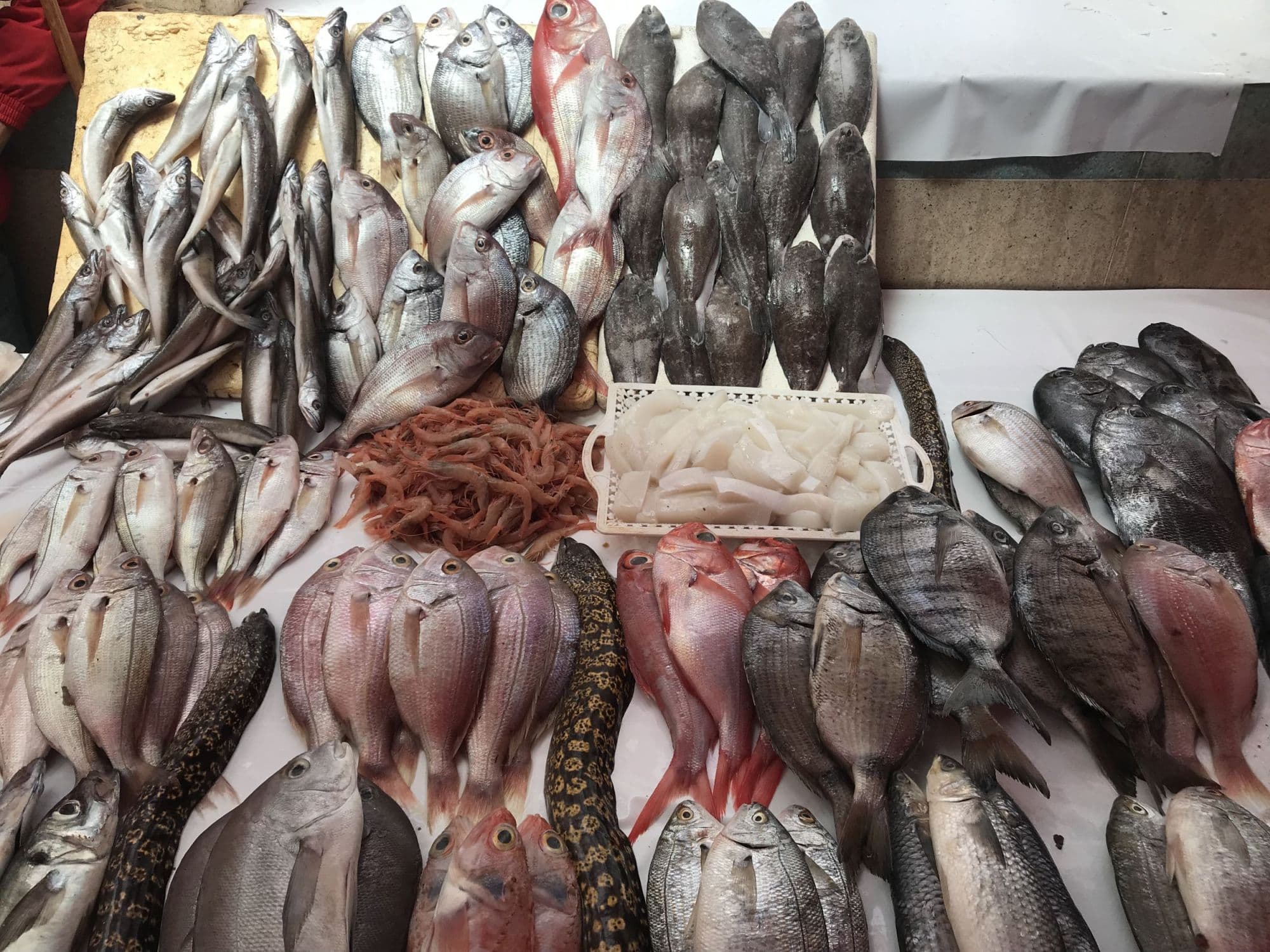 Maroko - kráľovské mestá a pobyt pri mori v Essaouira – fotka 4